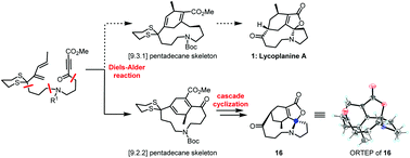 Graphical abstract: Synthesis of an isomer of lycoplanine A via cascade cyclization to construct the spiro-N,O-acetal moiety