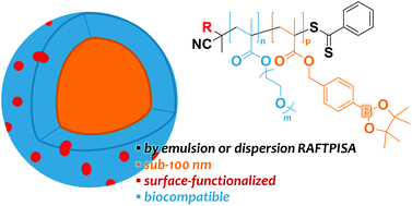 Graphical abstract: Boron-rich, cytocompatible block copolymer nanoparticles by polymerization-induced self-assembly