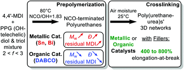 Graphical abstract: Identifying competitive tin- or metal-free catalyst combinations to tailor polyurethane prepolymer and network properties