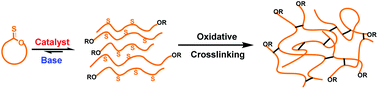 Graphical abstract: Organocatalytic ring-opening polymerization of thionolactones: anything O can do, S can do better