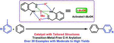 Graphical abstract: Small organic molecules with tailored structures: initiators in the transition-metal-free C–H arylation of unactivated arenes