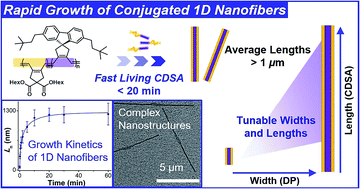 Graphical abstract: Rapid formation and real-time observation of micron-sized conjugated nanofibers with tunable lengths and widths in 20 minutes by living crystallization-driven self-assembly