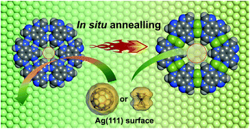 Graphical abstract: On-surface isostructural transformation from a hydrogen-bonded network to a coordination network for tuning the pore size and guest recognition