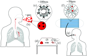 Graphical abstract: Soft matter science and the COVID-19 pandemic