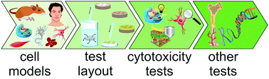 Graphical abstract: A review of in vitro cell culture testing methods for bioactive glasses and other biomaterials for hard tissue regeneration