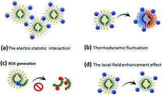 Graphical abstract: Nanoscience and quantum science-led biocidal and antiviral strategies