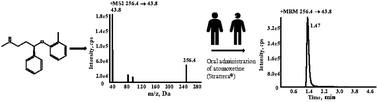 Graphical abstract: Determination of atomoxetine levels in human plasma using LC-MS/MS and clinical application to Chinese children with ADHD based on CPIC guidelines