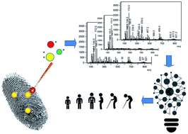 Graphical abstract: Exploring the problem of determining human age from fingermarks using MALDI MS-machine learning combined approaches