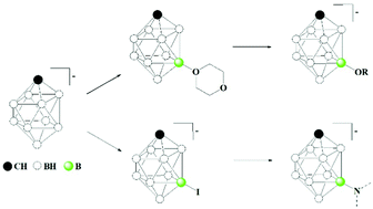 Graphical abstract: New approaches to the functionalization of the 1-carba-closo-decaborate anion