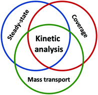 Graphical abstract: The determination of the HOR/HER reaction mechanism from experimental kinetic data