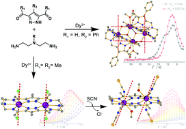 Graphical abstract: Macrocycle based dinuclear dysprosium(iii) single molecule magnets with local D5h coordination geometry