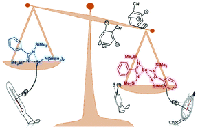 Graphical abstract: Reversible addition of tin(ii) amides to nitriles