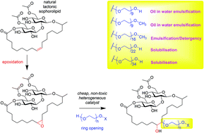 Graphical abstract: A class of surfactants via PEG modification of the oleate moiety of lactonic sophorolipids: synthesis, characterisation and application