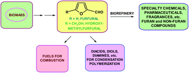 Graphical abstract: Furan platform chemicals beyond fuels and plastics