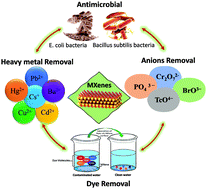 Graphical abstract: Recent advances in the adsorptive remediation of wastewater using two-dimensional transition metal carbides (MXenes): a review