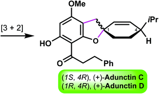 Graphical abstract: Total syntheses of (+)-adunctins C and D: assignment of their absolute configurations