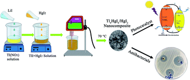 Graphical abstract: Photocatalytic and antibacterial activities of Tl–Hg–I nanocomposites: sonochemical synthesis and characterization