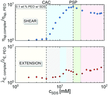 Graphical abstract: Dynamics and extensional rheology of polymer–surfactant association complexes