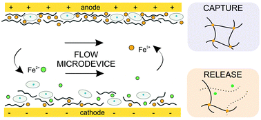Graphical abstract: Development of an electrically responsive hydrogel for programmable in situ immobilization within a microfluidic device