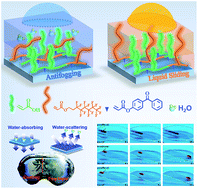 Graphical abstract: UV curable stimuli-responsive coatings with antifogging and oil-repellent performances