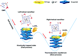 Graphical abstract: Kinetic control of chirality and circularly polarized luminescence in G-quartet materials