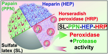 Graphical abstract: Development of polymer-based multifunctional composite particles of protease and peroxidase activities