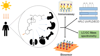 Graphical abstract: Vitamin D metabolites and analytical challenges