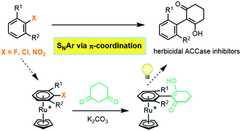 Graphical abstract: Enolate SNAr of unactivated arenes via [(η6-arene)RuCp]+ intermediates