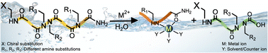 Graphical abstract: Amide bond hydrolysis of peptoids