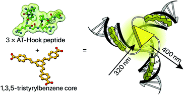 Graphical abstract: Selective recognition of A/T-rich DNA 3-way junctions with a three-fold symmetric tripeptide