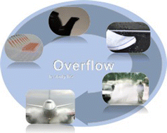 Graphical abstract: Introduction to the biomimetic design of interfacial materials for water overflow control