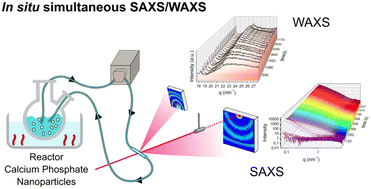 Graphical abstract: Formation of calcium phosphate nanoparticles in the presence of carboxylate molecules: a time-resolved in situ synchrotron SAXS and WAXS study