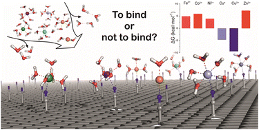 Graphical abstract: Coordination effects on the binding of late 3d single metal species to cyanographene