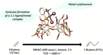 Graphical abstract: A cavity-shaped cis-chelating P,N ligand for highly selective nickel-catalysed ethylene dimerisation