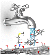 Graphical abstract: Amino acid-driven adsorption of emerging contaminants in water by modified graphene oxide nanosheets