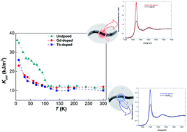 Graphical abstract: Modifying the magnetic response of magnetotactic bacteria: incorporation of Gd and Tb ions into the magnetosome structure