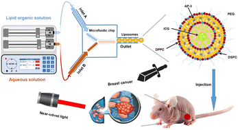 Graphical abstract: Microfluidic fabrication of photo-responsive Ansamitocin P-3 loaded liposomes for the treatment of breast cancer