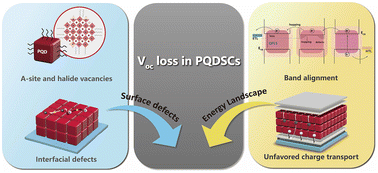 Graphical abstract: Open-circuit voltage loss in perovskite quantum dot solar cells