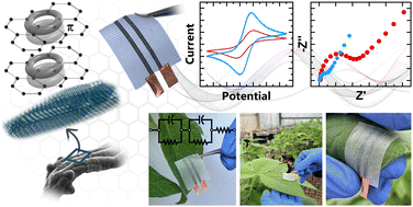 Graphical abstract: Scalable and green formation of graphitic nanolayers produces highly conductive pyrolyzed paper toward sensitive electrochemical sensors