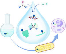 Graphical abstract: Organometallic catalysis in aqueous and biological environments: harnessing the power of metal carbenes