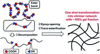 Graphical abstract: One-shot transformation of ordinary polyesters into vitrimers: decomposition-triggered cross-linking and assistance of dynamic covalent bonds