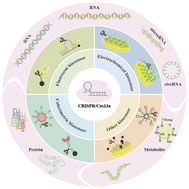 Graphical abstract: Application of CRISPR/Cas13a-based biosensors in serum marker detection