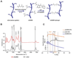 Graphical abstract: An advanced biphasic porous and injectable scaffold displays a fine balance between mechanical strength and remodeling capabilities essential for cartilage regeneration