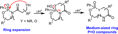 Graphical abstract: Ring expansion reactions of P [[double bond, length as m-dash]] O-containing molecules