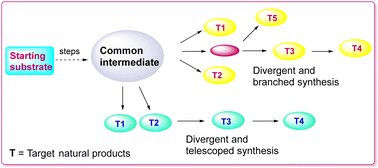 Graphical abstract: Deciphering the quest in the divergent total synthesis of natural products