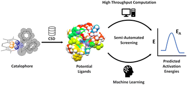 Graphical abstract: High-throughput computational workflow for ligand discovery in catalysis with the CSD