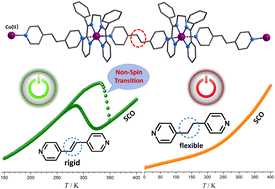 Graphical abstract: Exploring a prototype for cooperative structural phase transition in cobalt(ii) spin crossover compounds