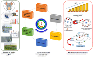 Graphical abstract: Evaluating metal oxide nanoparticle (MeOx NP) toxicity with different types of nano descriptors mainly focusing on simple periodic table-based descriptors: a mini-review