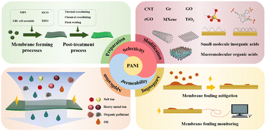 Graphical abstract: Preparation, modification and antifouling properties of polyaniline conductive membranes for water treatment: a comprehensive review