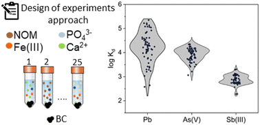 Graphical abstract: The efficacy of Pb, As(v) and Sb(iii) removal by biochar is determined by solution chemistry